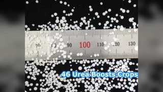 फसलों को बढ़ावा: किसानों के लिए 46% यूरिया उर्वरक