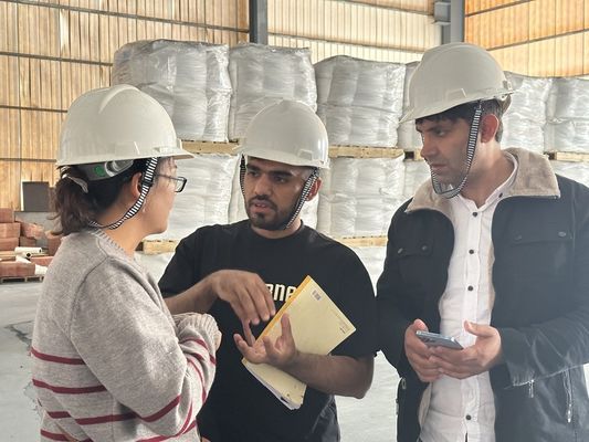 रूटाइल टाइटेनियम डाइऑक्साइड SR9000 Tio2 स्याही, उच्च चमकदार पेंट के लिए